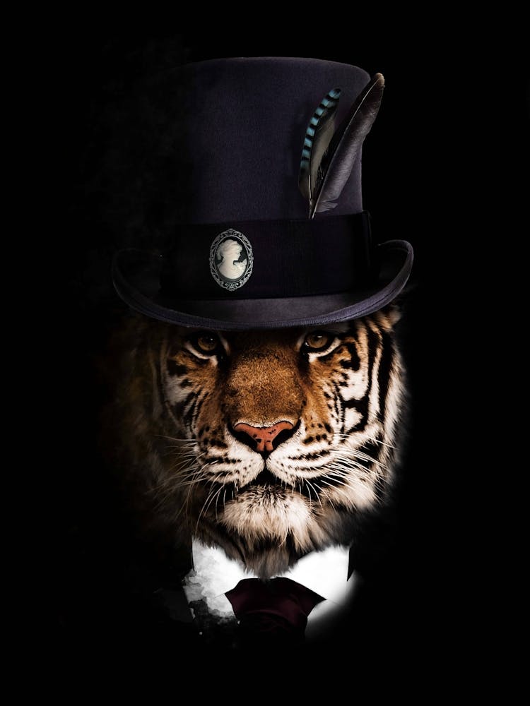 Tiger In Top Hat