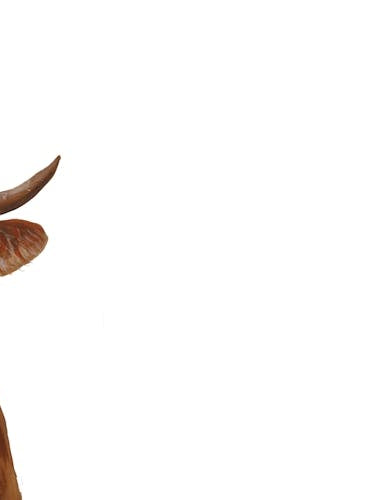 Cow With Wineglass Dining Room art print