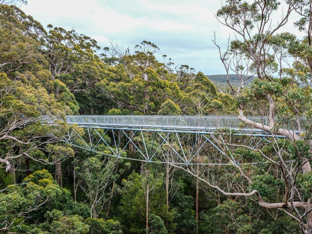 Valley Of The Giants Australia