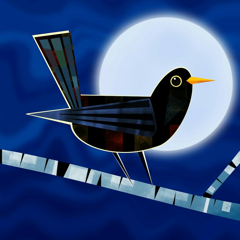 Blackbird on Branch 1