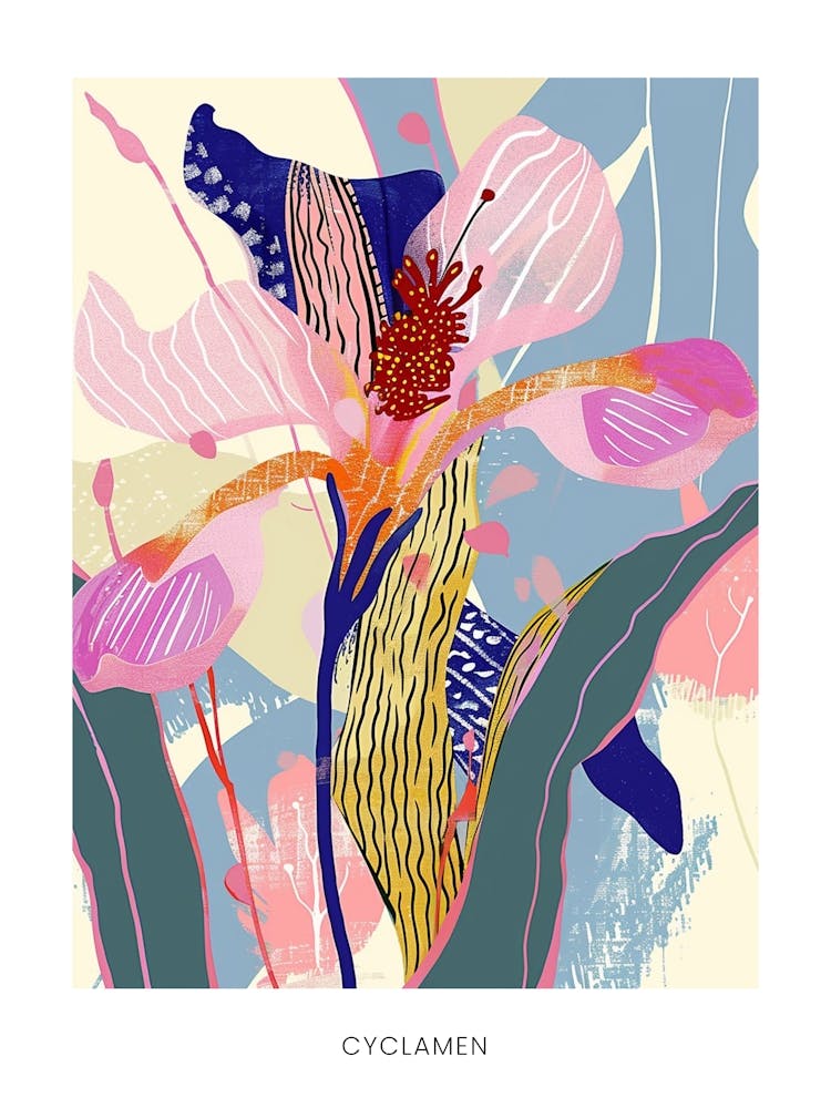 Colourful Flower Illustration Poster Cyclamen 3