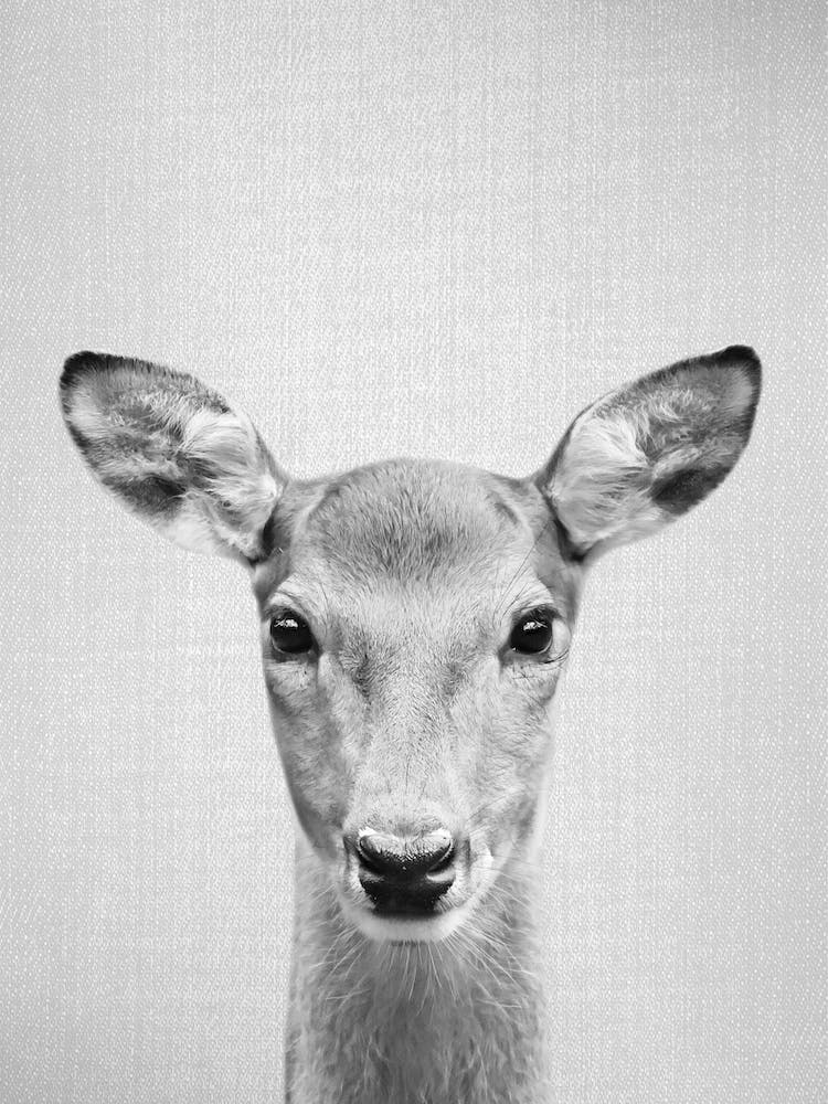 Doe - Black & White
