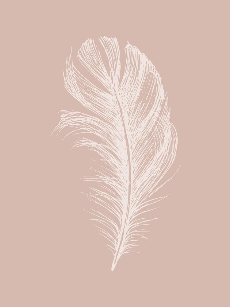 Pink Feather Print 3