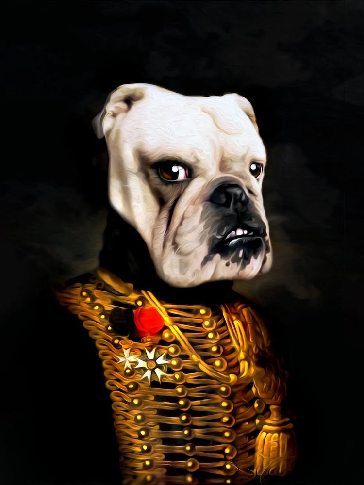 General Marcus The English Bulldog Pet Portraits