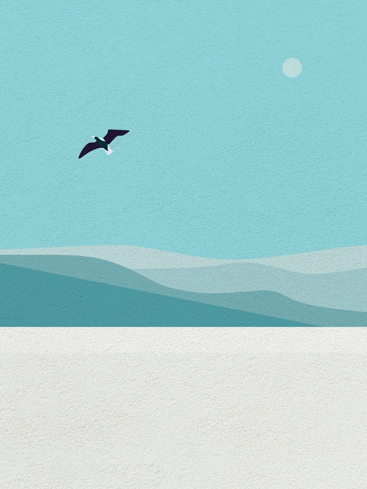 Minimal art Seagull In The Sky