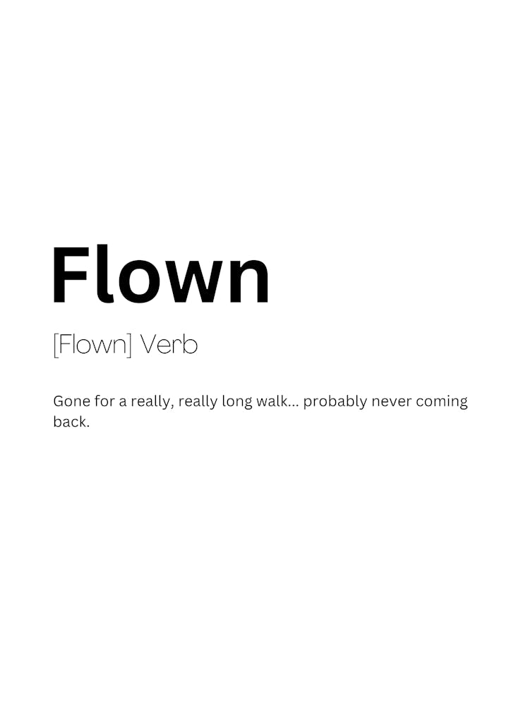 Flown Definition Meaning 1