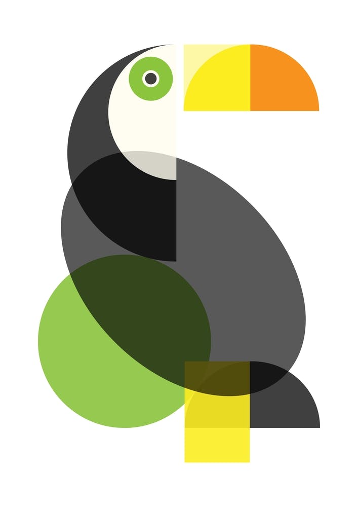Geometric Toucan