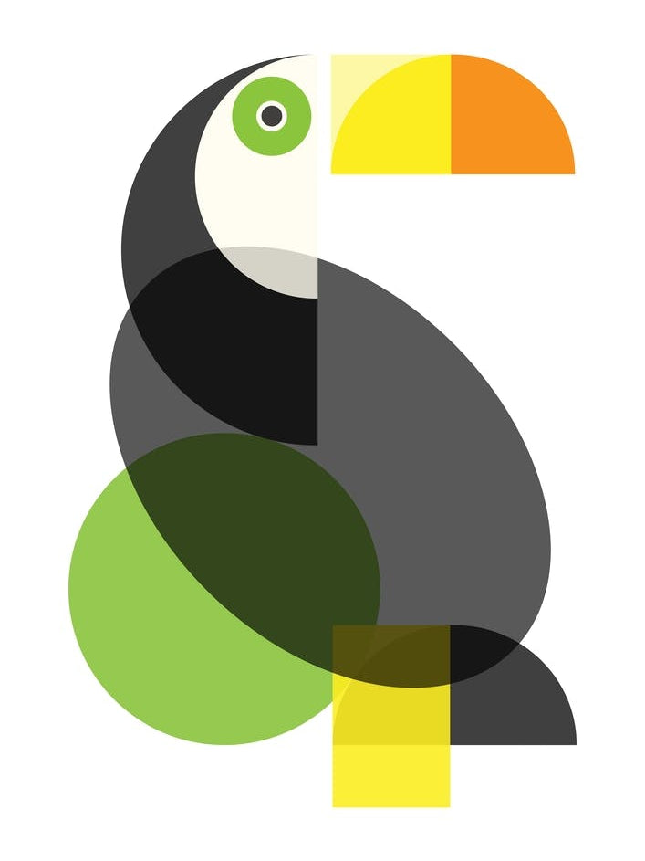 Geometric Toucan