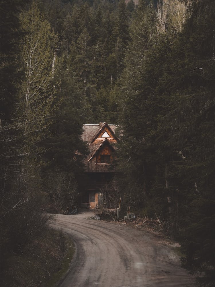 Road To Nature Cabin