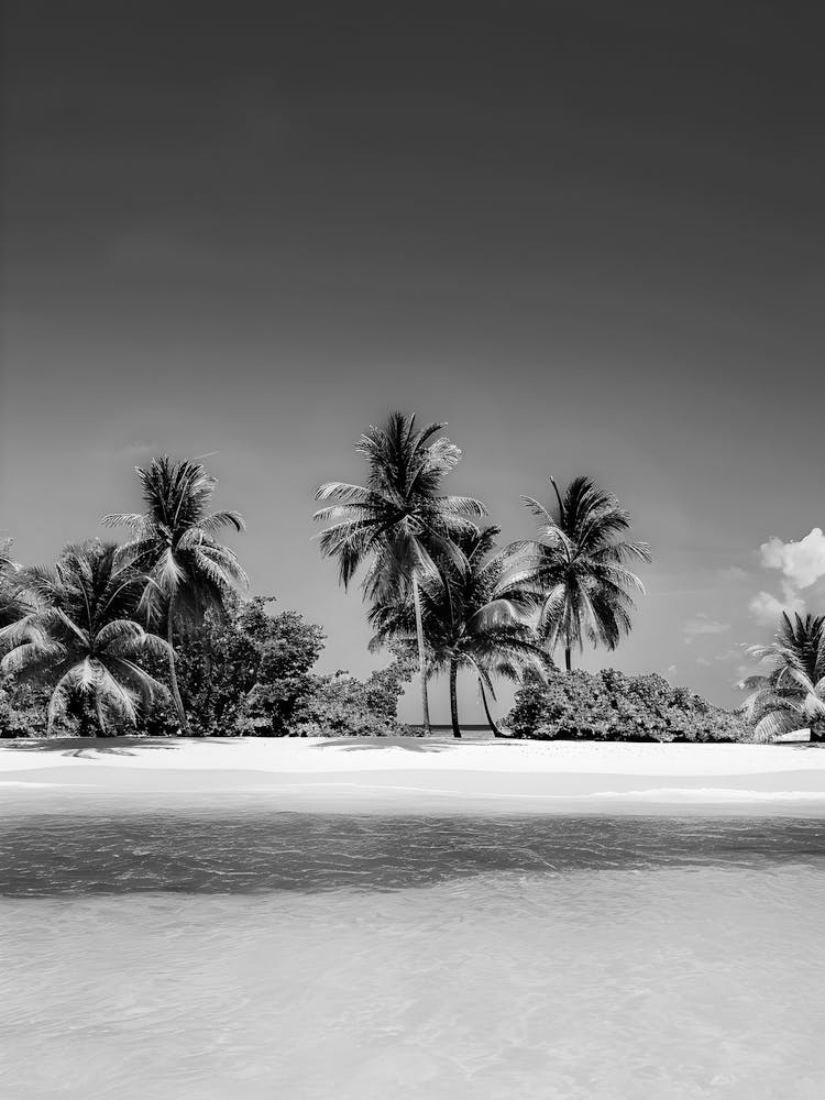 Black And White Beach 11
