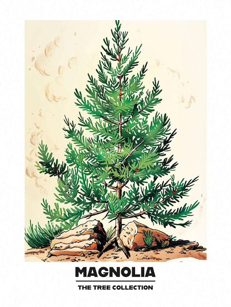 Magnolia Tree Storybook Illustration 3 Poster