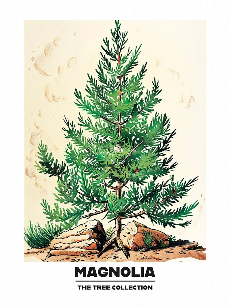 Magnolia Tree Storybook Illustration 3 Poster