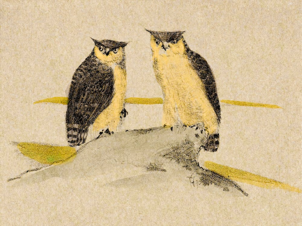 Greeting Card With Two Owls (1890), Theo Van Hoytema,