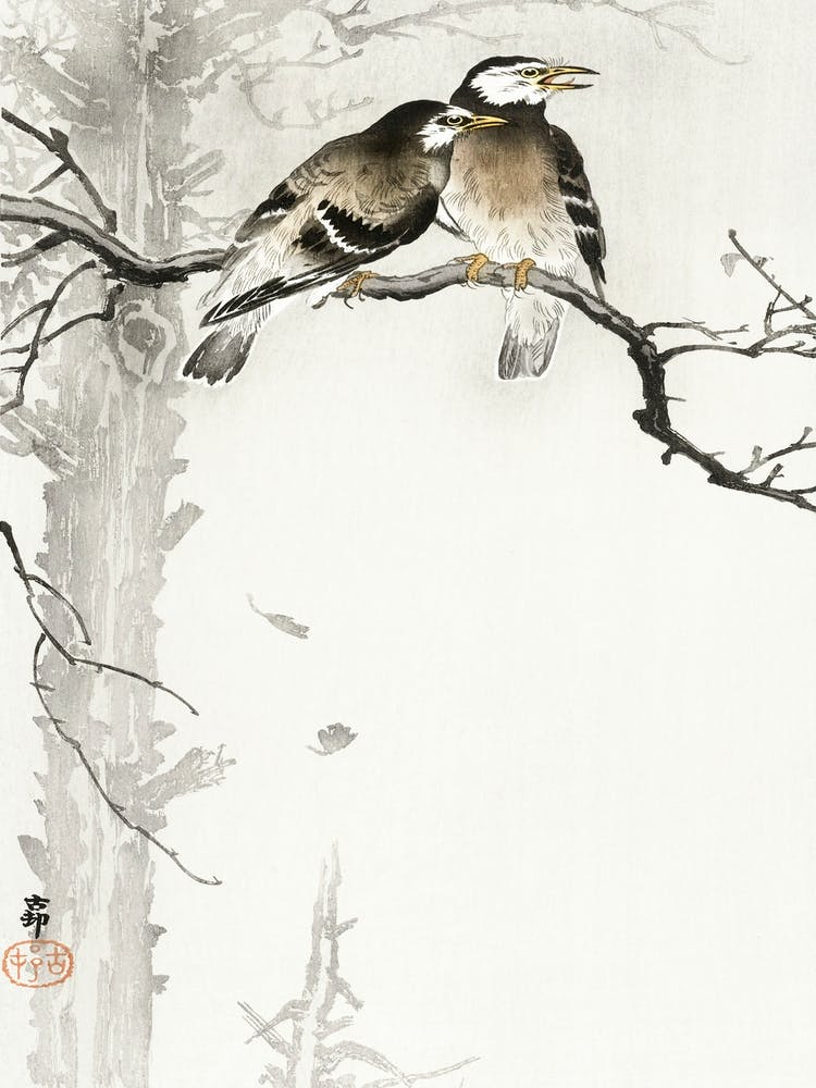 Two Gray Starlings (1900 1936), Ohara Koson