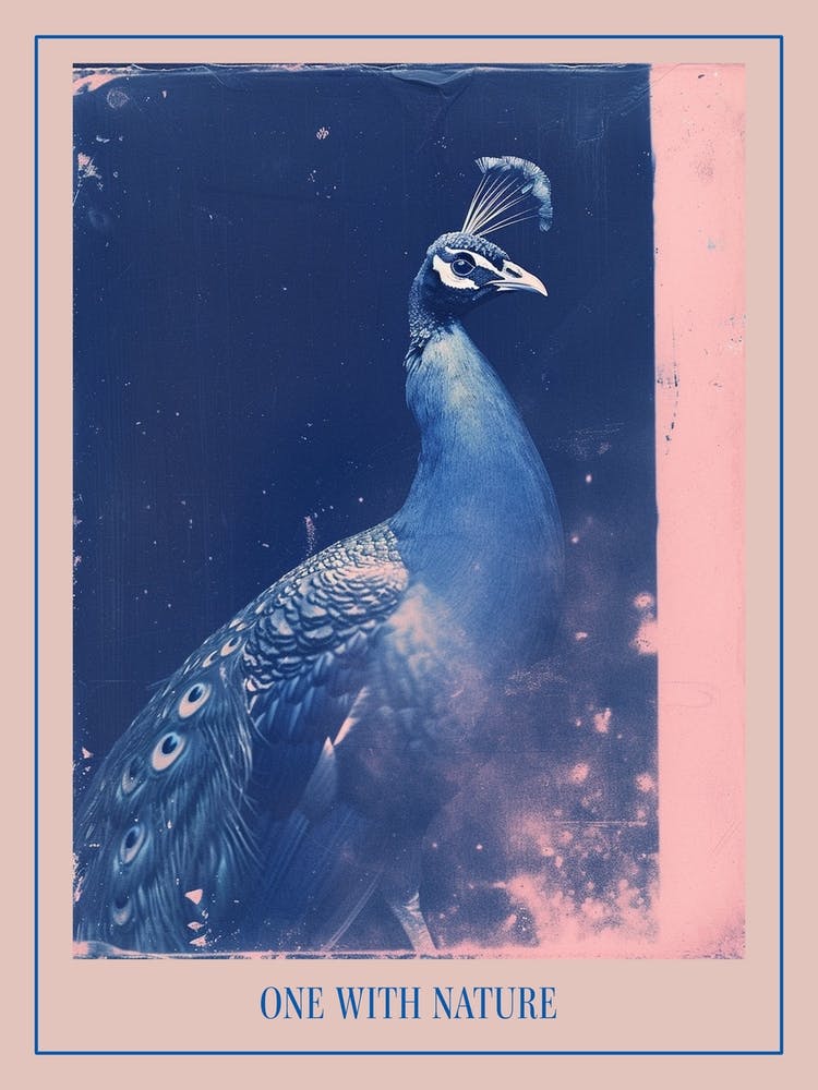 Peacock Pink & Blue Cyanotype Inspired 2 Poster