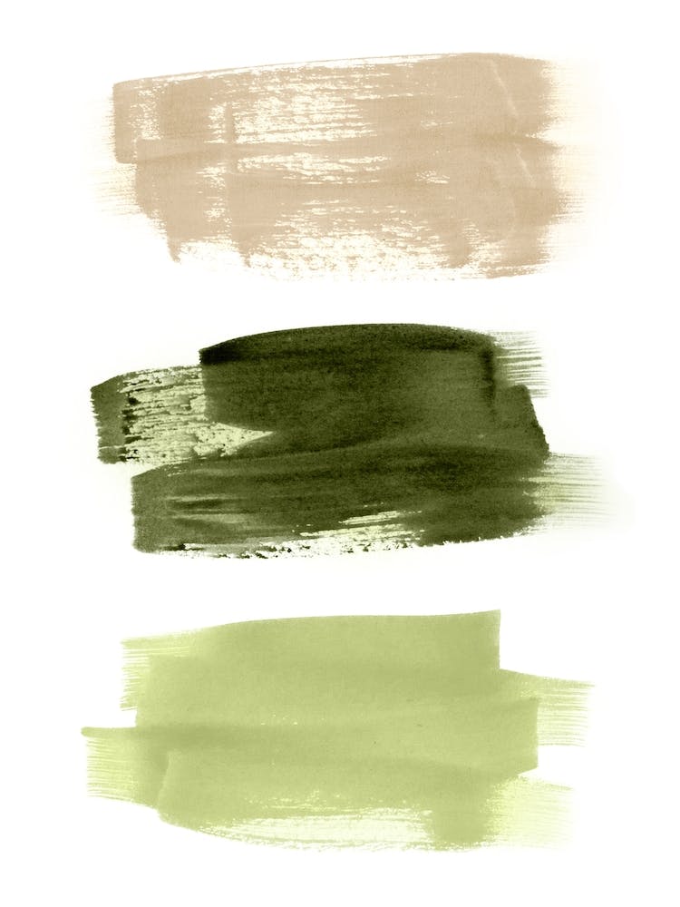 Olive green Paint Brush Strokes