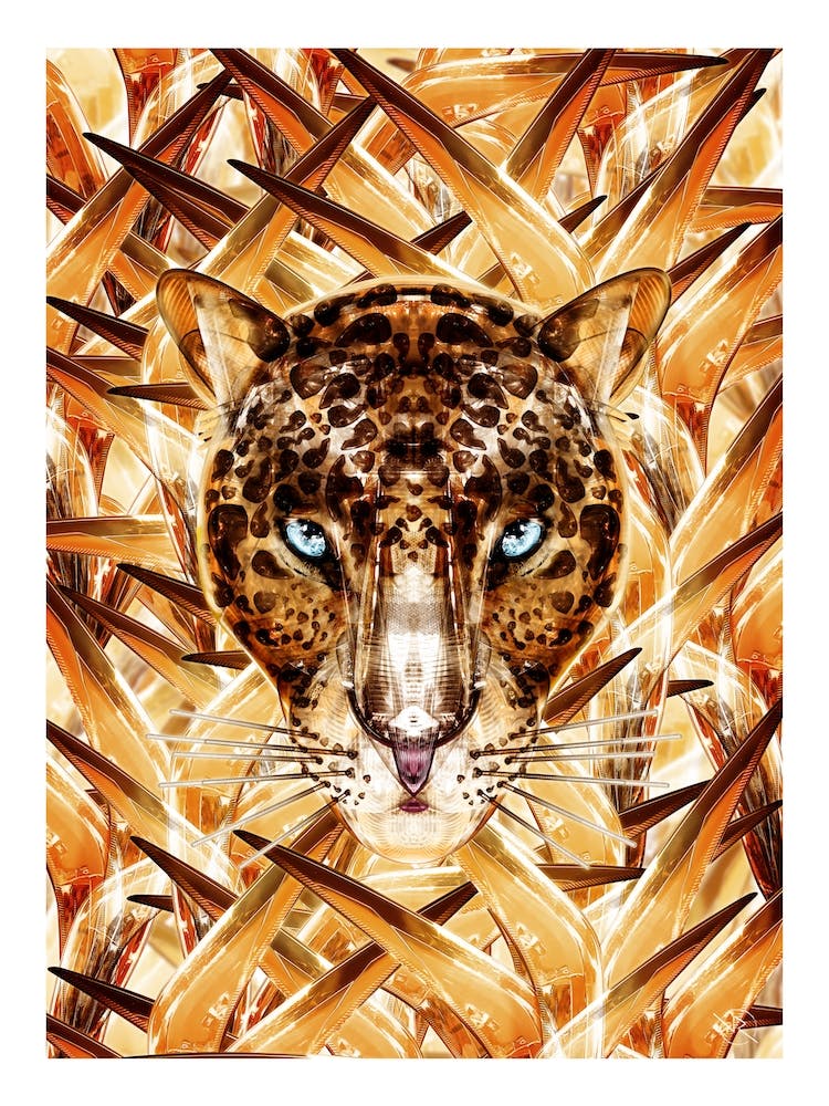 Savana Racer