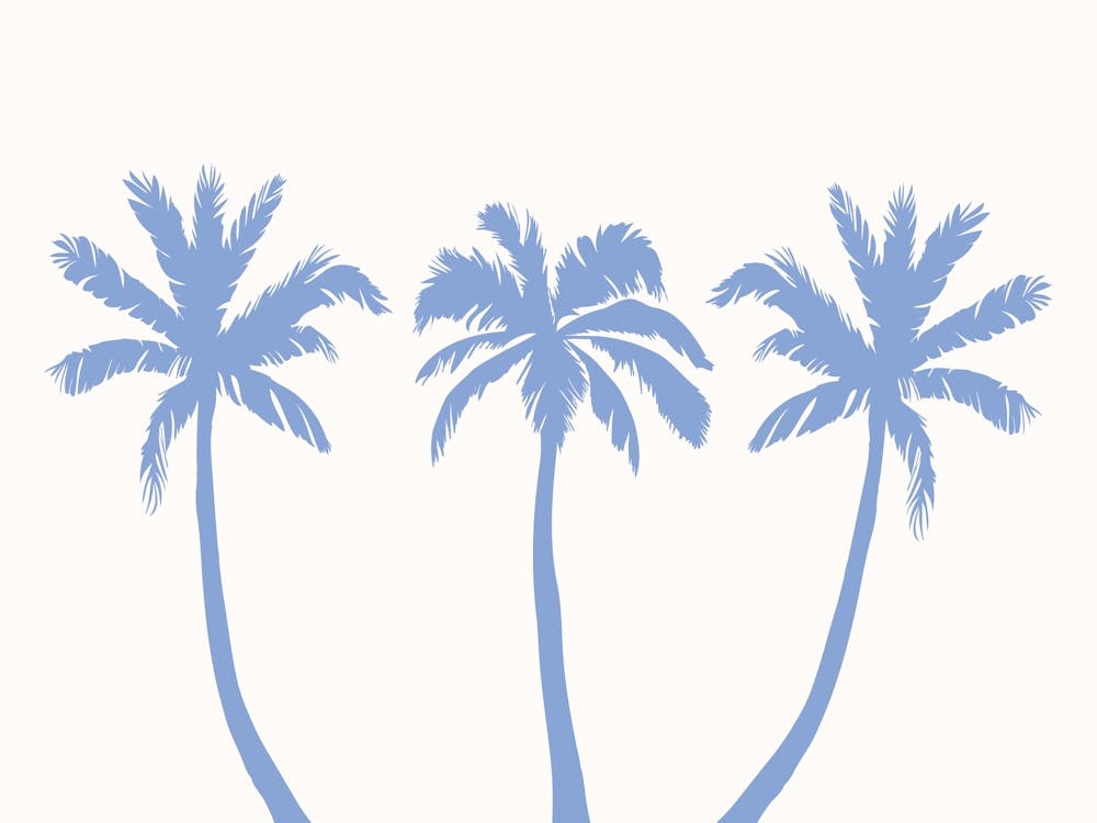 Palm Trees Coastal poster