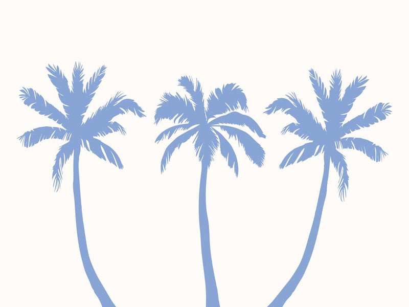 Palm Trees Coastal poster