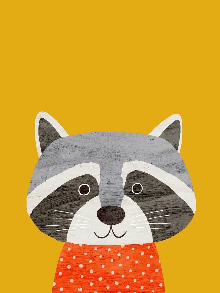Racoon Yellow