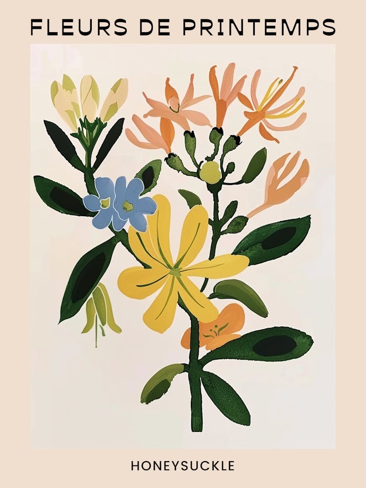 Spring Floral French Poster  Honeysuckle 1