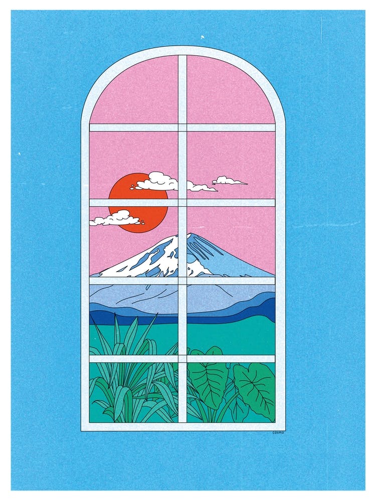 Window