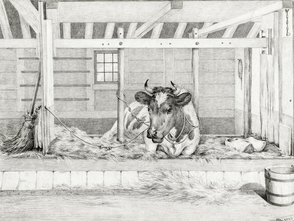 Lying Cow (1813), Jean Bernard