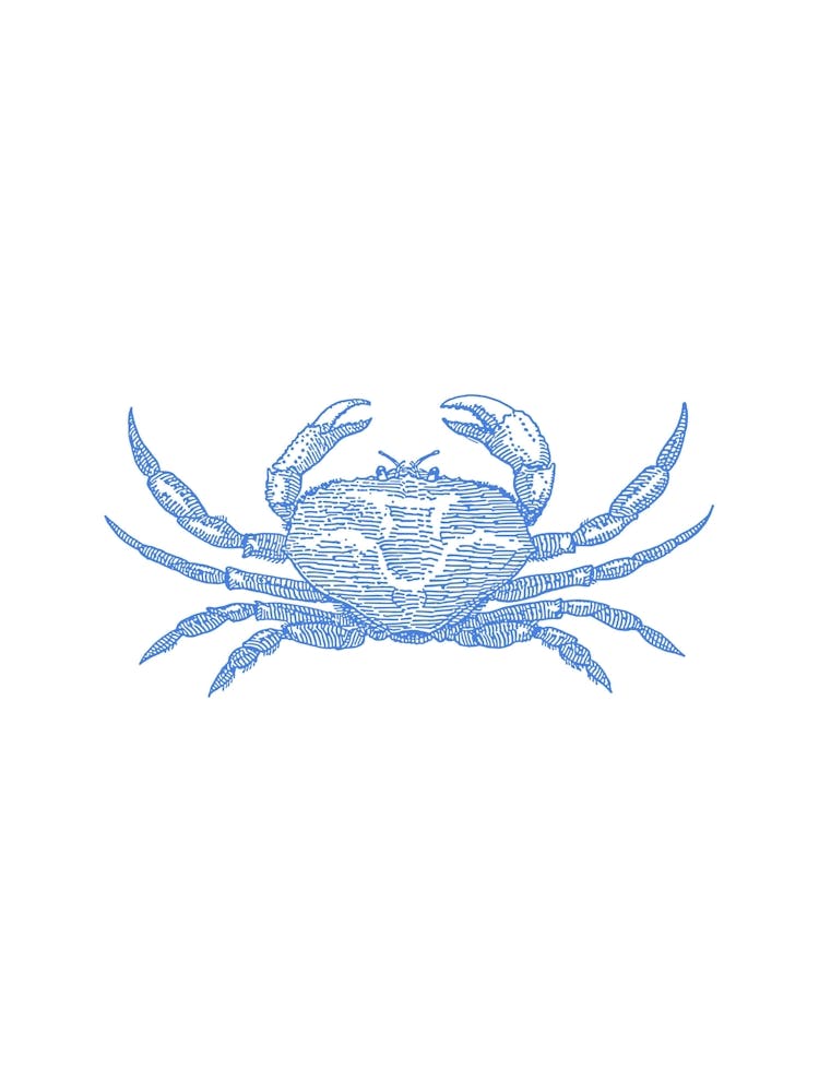 Blue Crab
