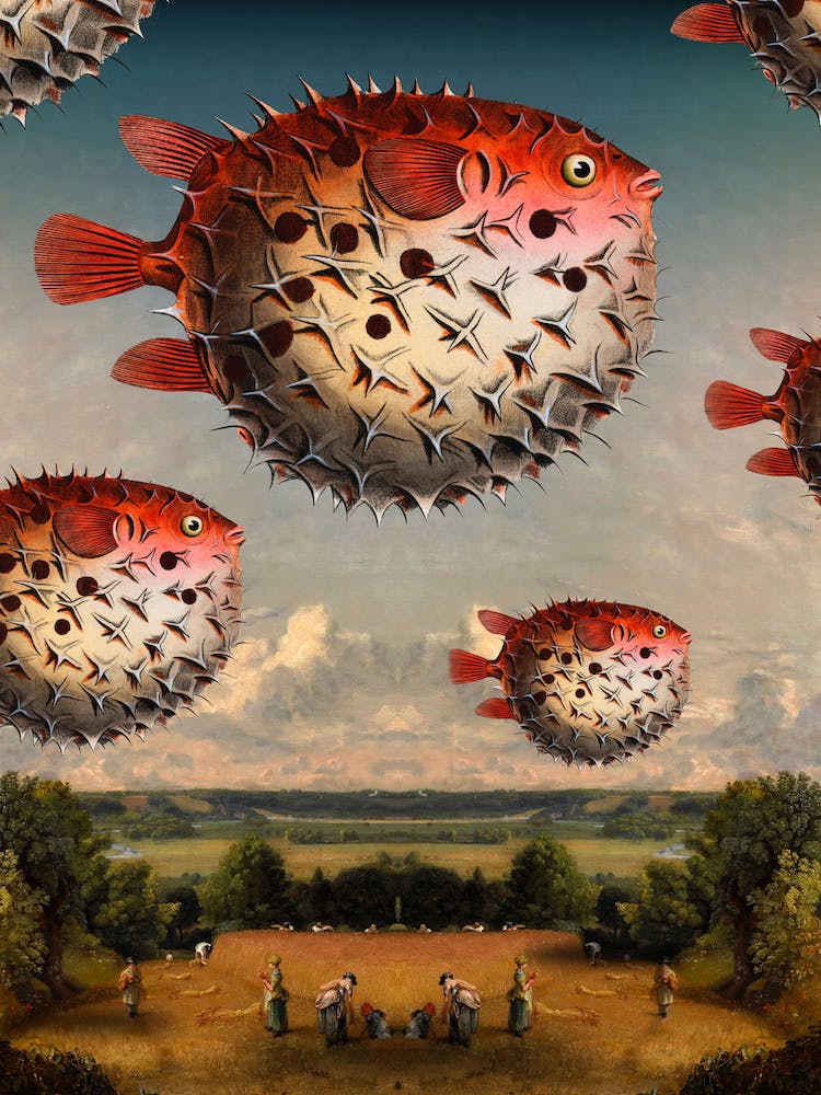 Puffer Fish