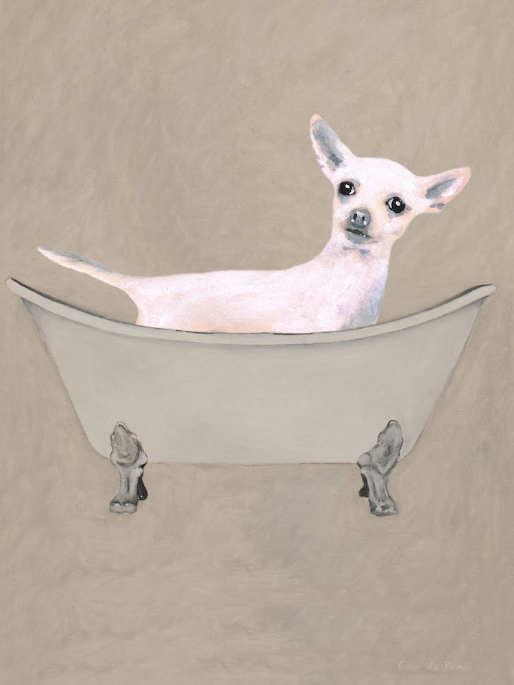 Chihuahua in der Badewanne