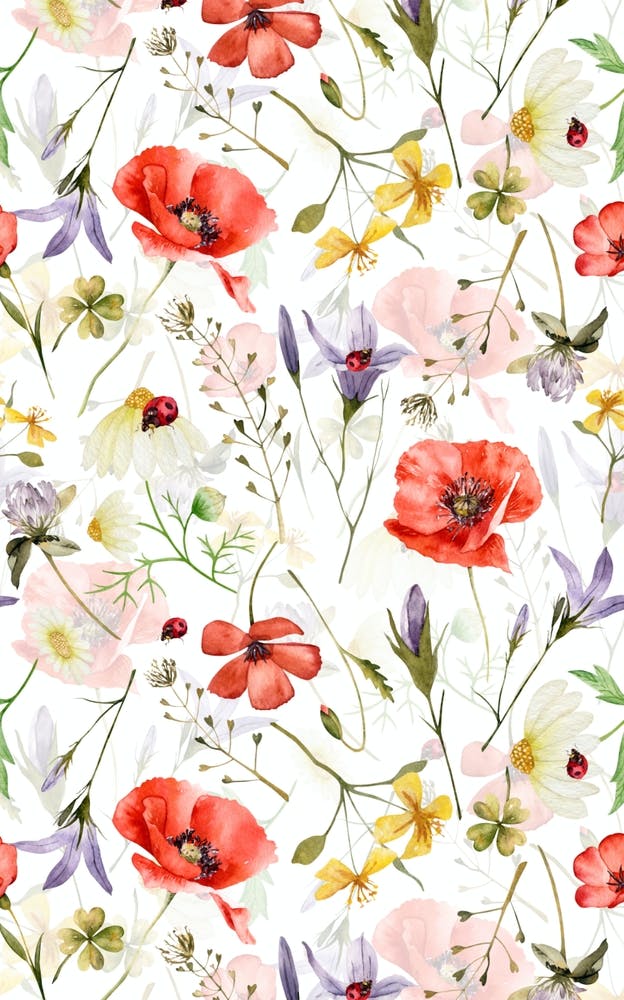 Scandinavian Midsummer  Herbs And Wildflowers Meadow