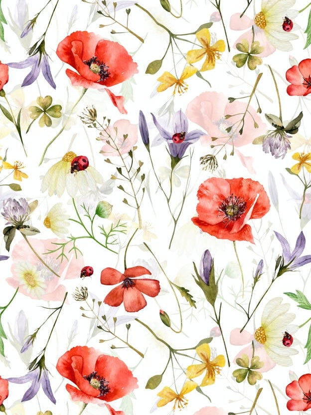 Scandinavian Midsummer  Herbs And Wildflowers Meadow