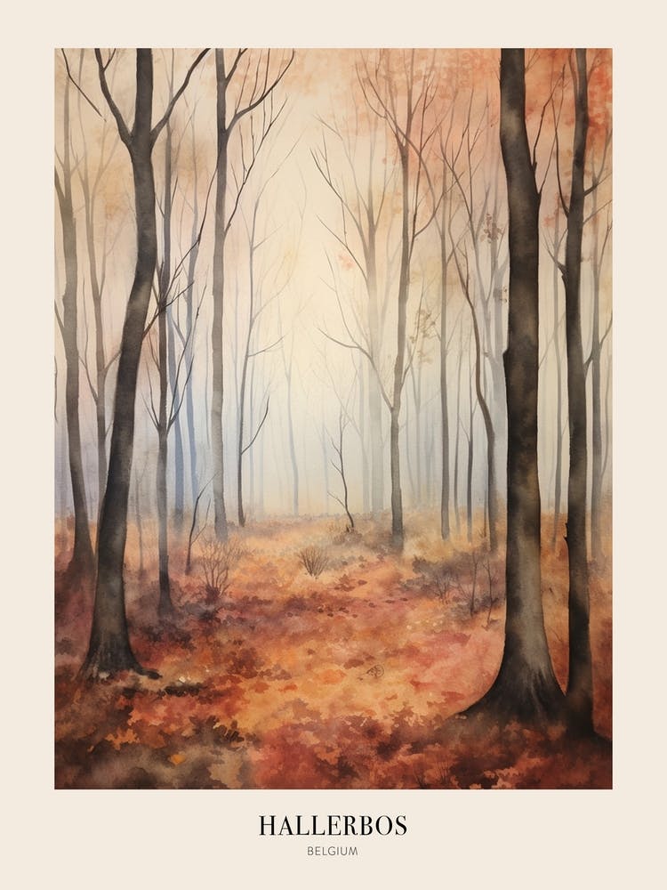 Autumn Forest Landscape Hallerbos Belgium Poster
