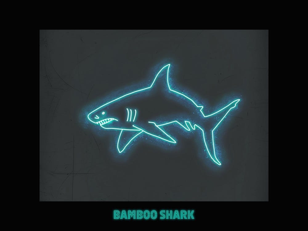 Neon Aqua Bamboo Shark 4 Poster