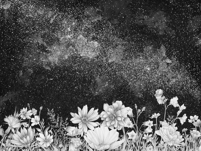 Cosmic Galaxy