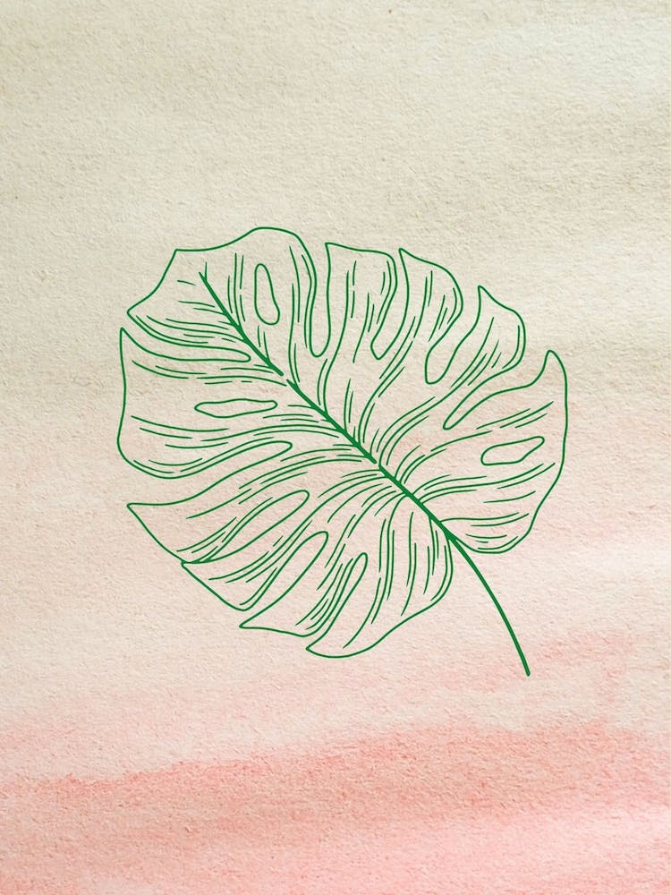 Minimalist Leaves