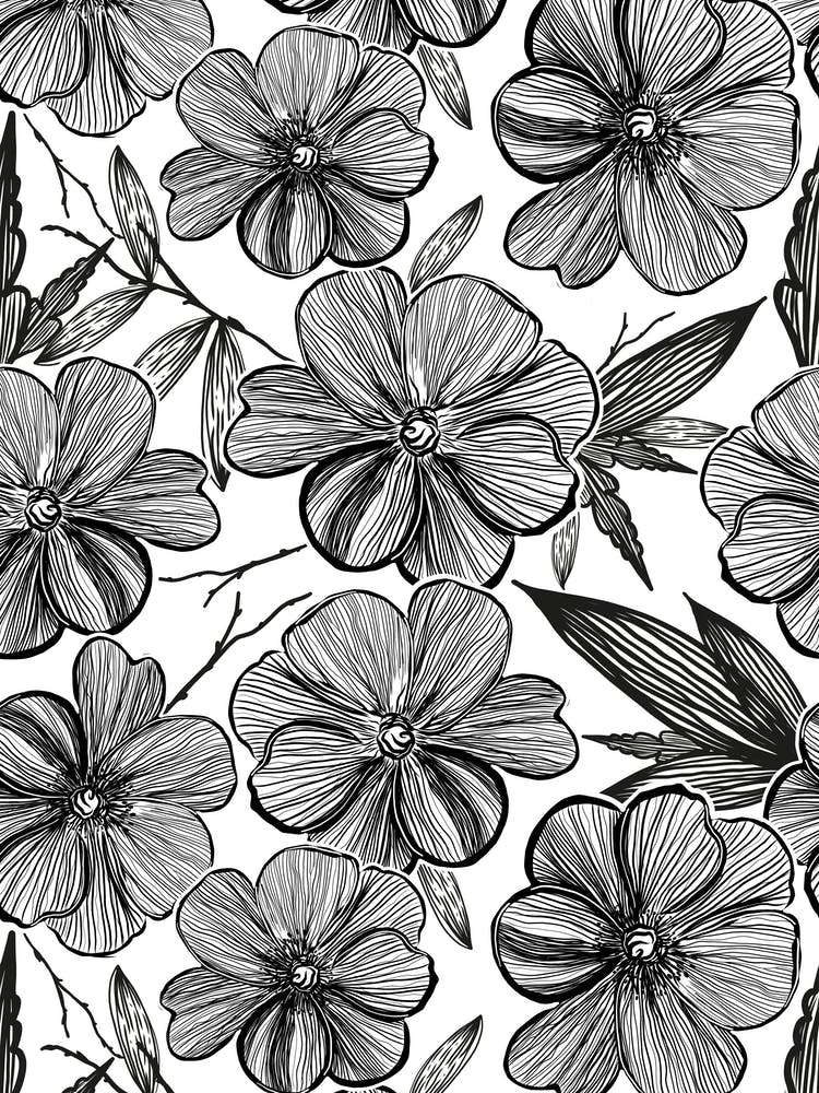 Black White Anemone