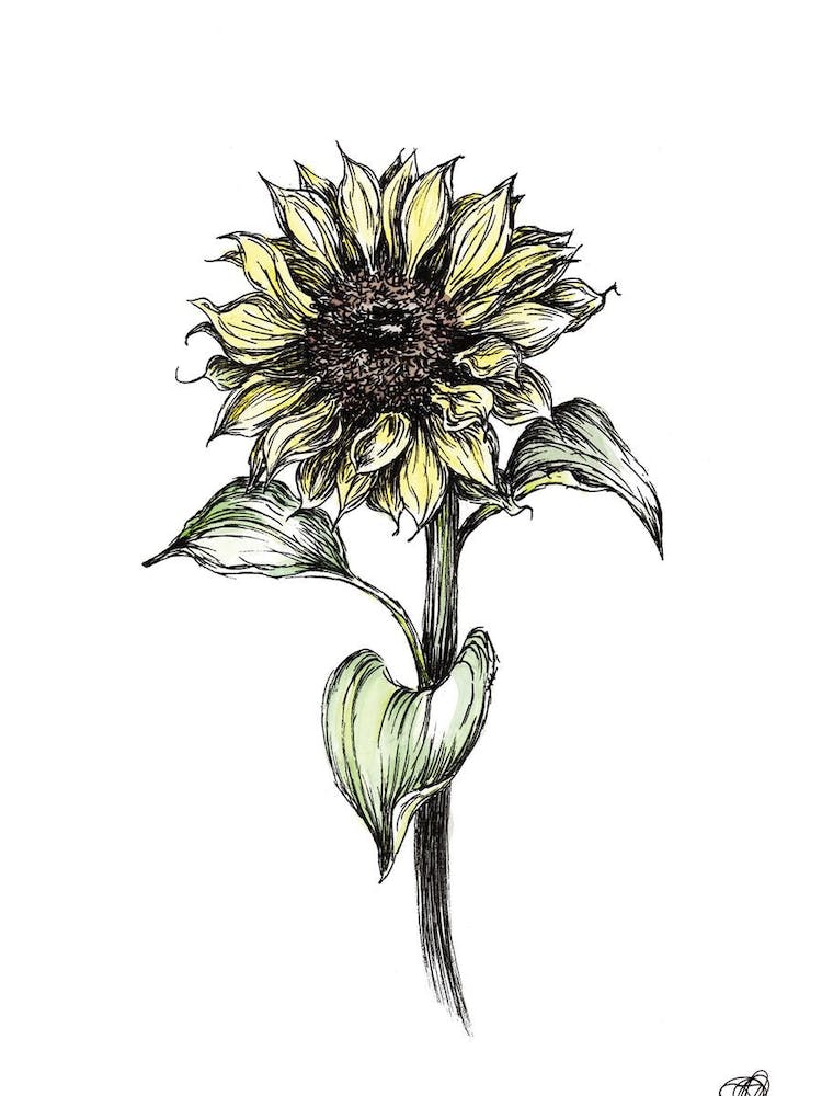 Watercolour Sunflower Left