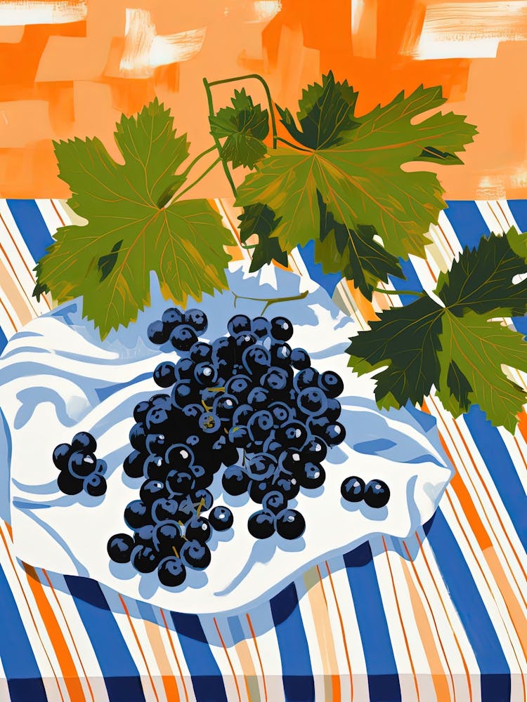 Blackcurrants Fruit Summer Illustration 1