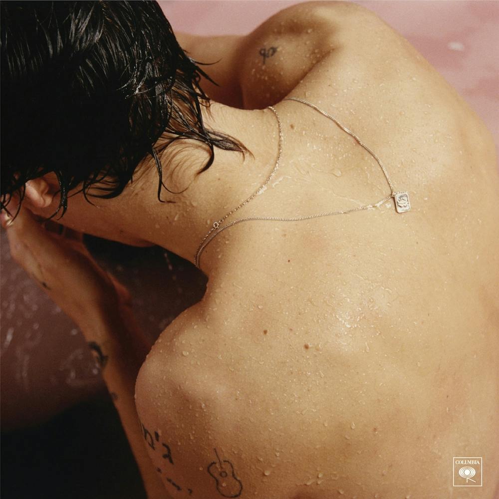 Harry Styles (von Harry Styles)