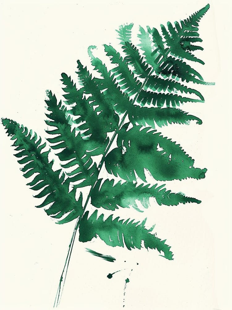 Green Ink Painting Of A Royal Fern 3