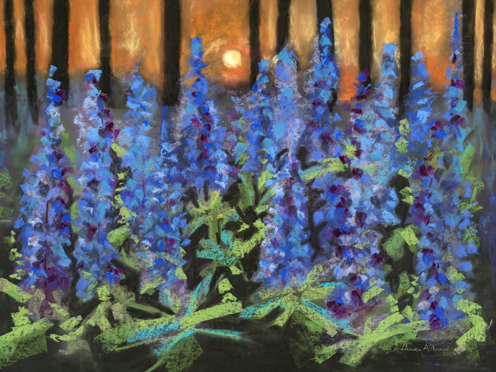 Forest lupines at sunset