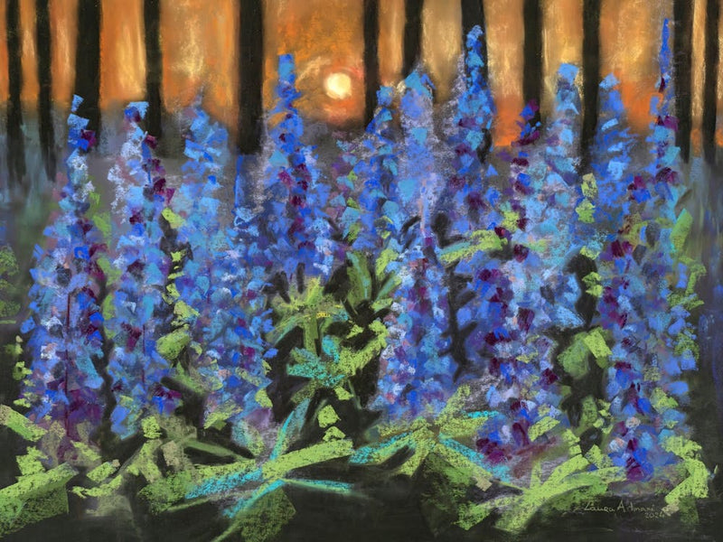 Forest lupines at sunset