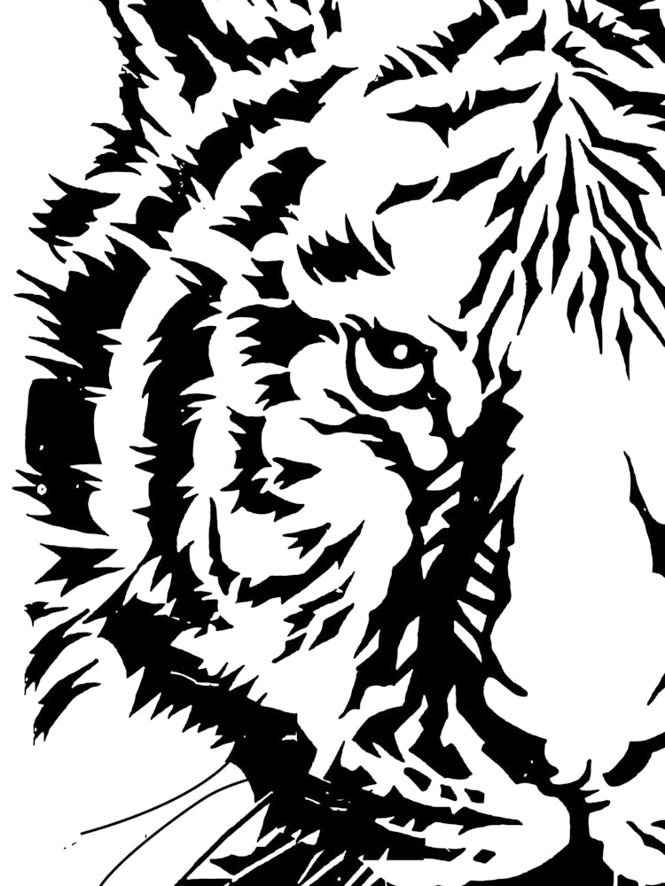 Tiger Face