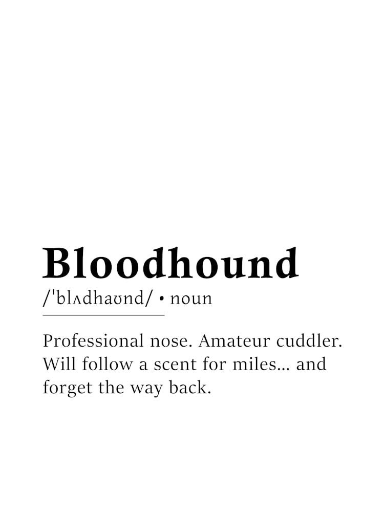 Bloodhound Definition Poster - Dictionary