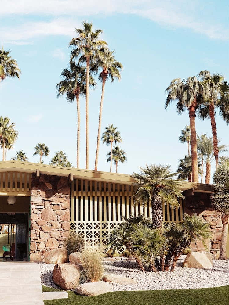 Summer Day At Palm Springs