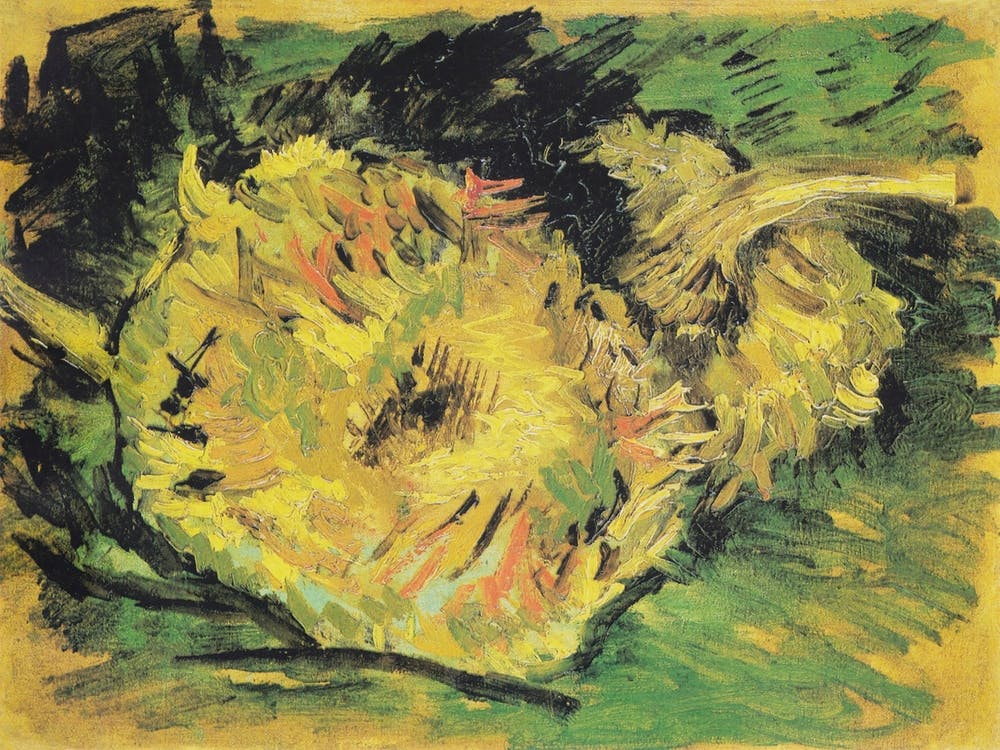Two Cut Sunflowers (1888), Vincent Van Gogh