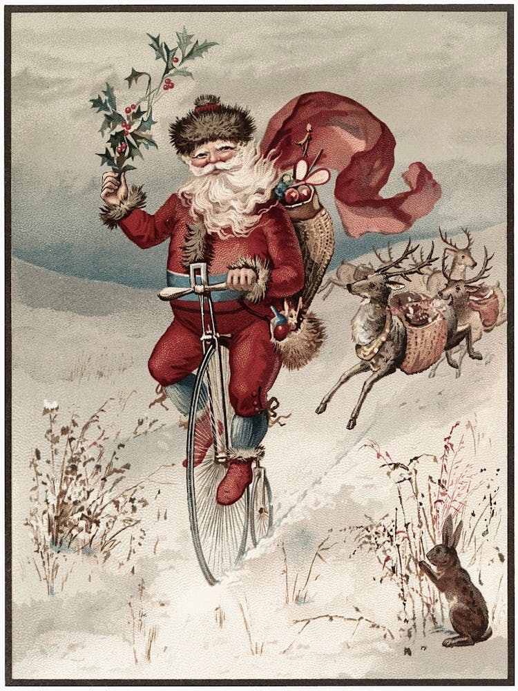 Santa Claus On A Bicycle