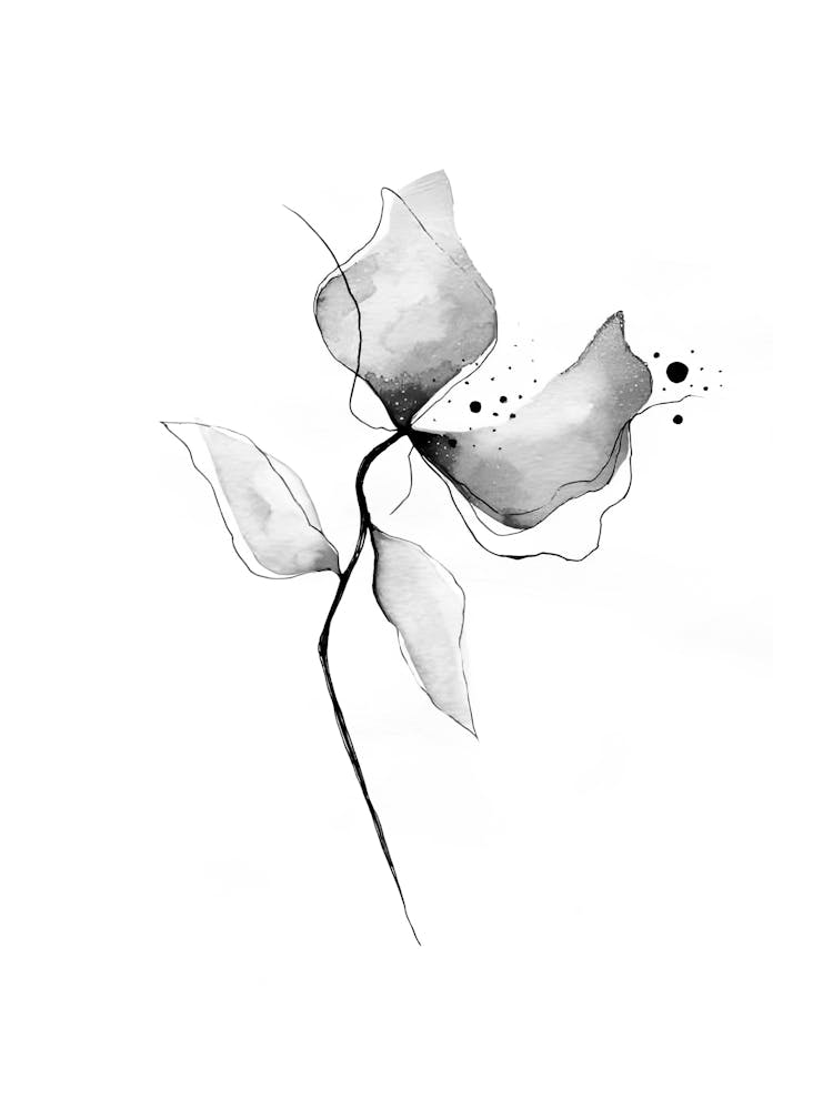 Black And White Flower 7