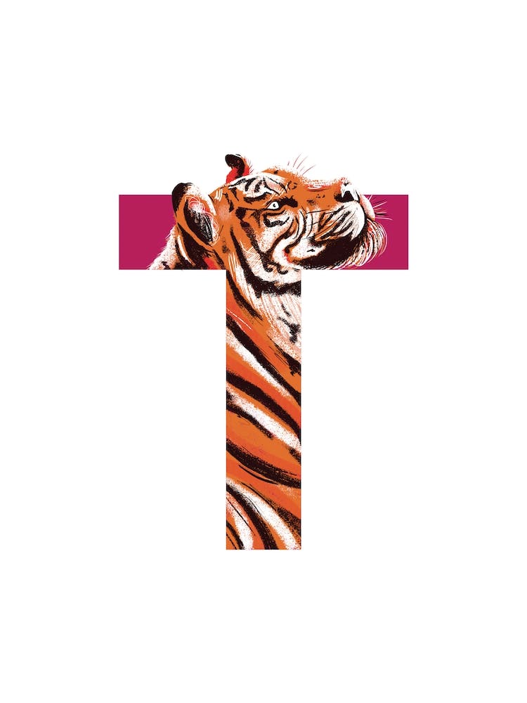 T Is For Tiger 